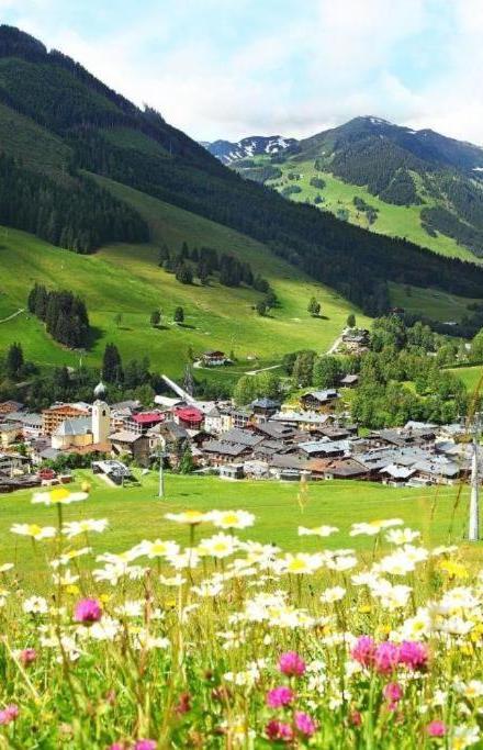 Boutique Apartment Bergliebe, Ski In-Out – billede 1