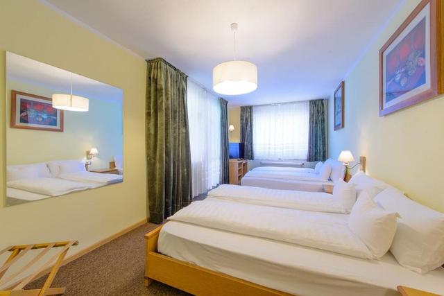 Park Hotel Faloria – billede 7