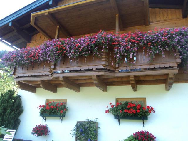 Bergblick – billede 2