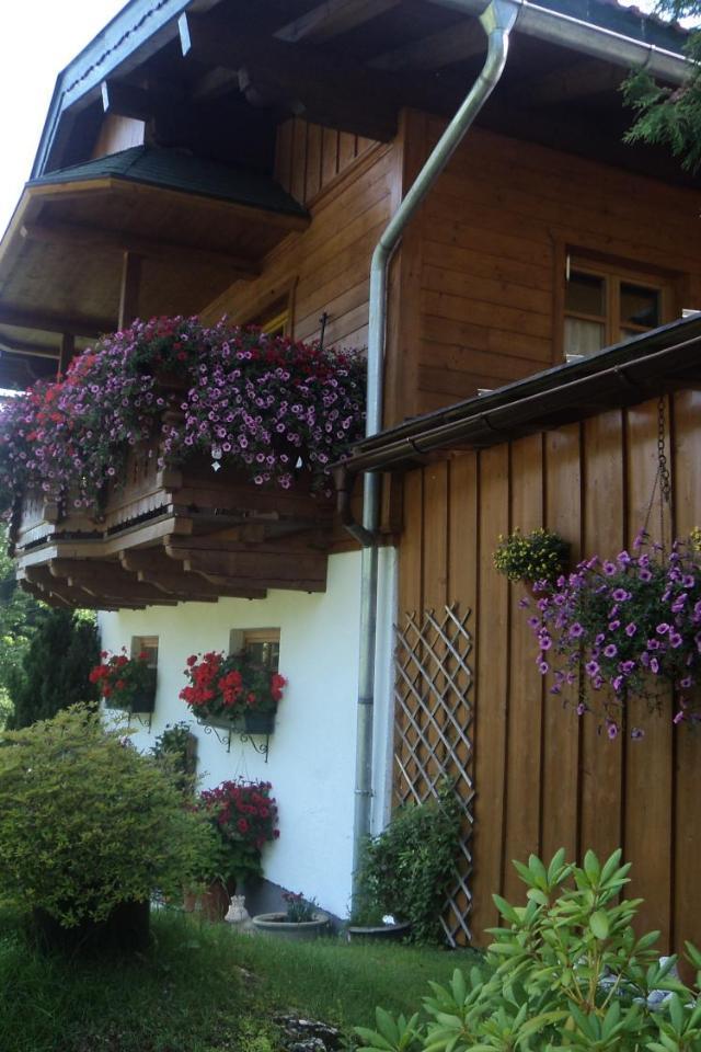 Bergblick – billede 7