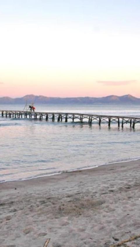 Lagomar – Alcúdia