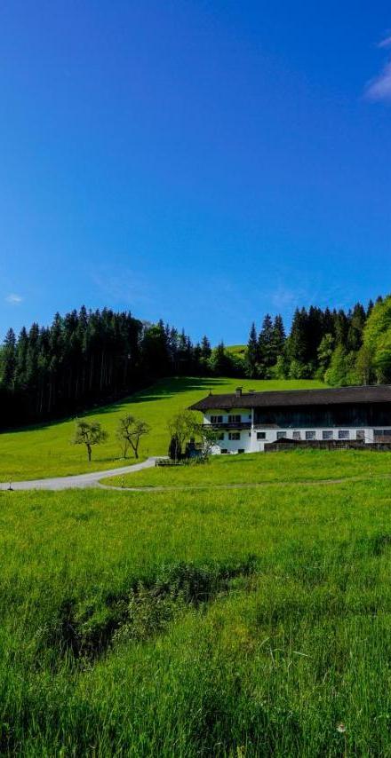 Getznerhof – billede 1