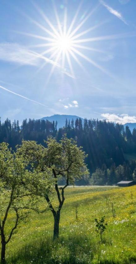 Getznerhof – billede 4