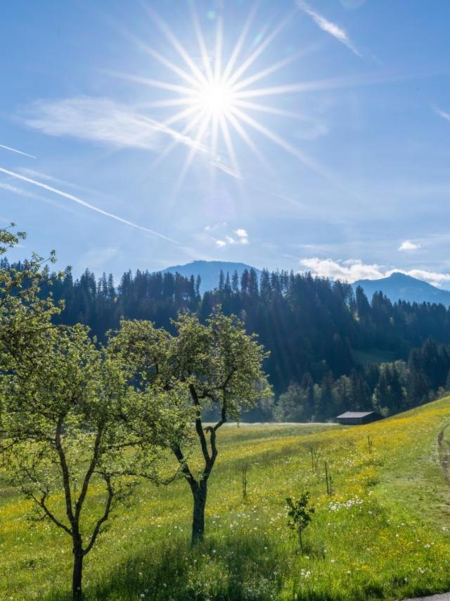 Getznerhof – billede 4