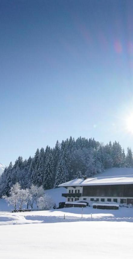 Getznerhof – billede 5