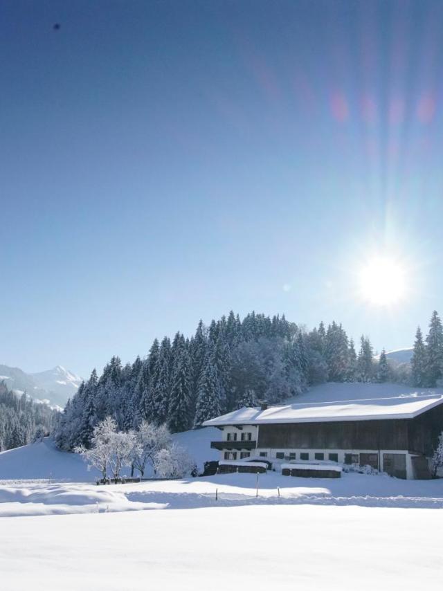 Getznerhof – billede 5