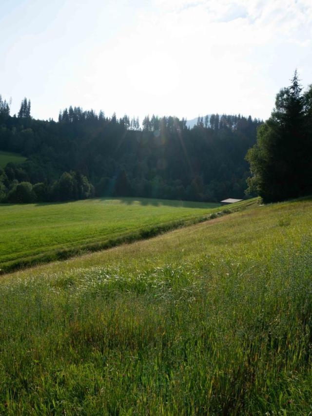 Getznerhof – billede 8