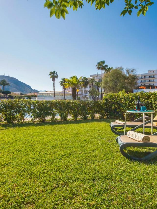 Ideal Property Mallorca - Tarongina – billede 6