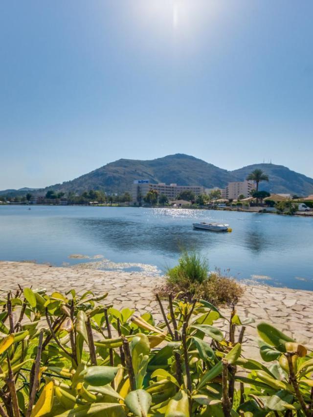 Ideal Property Mallorca - Tarongina – billede 7
