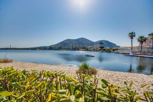 Ideal Property Mallorca - Tarongina – billede 7