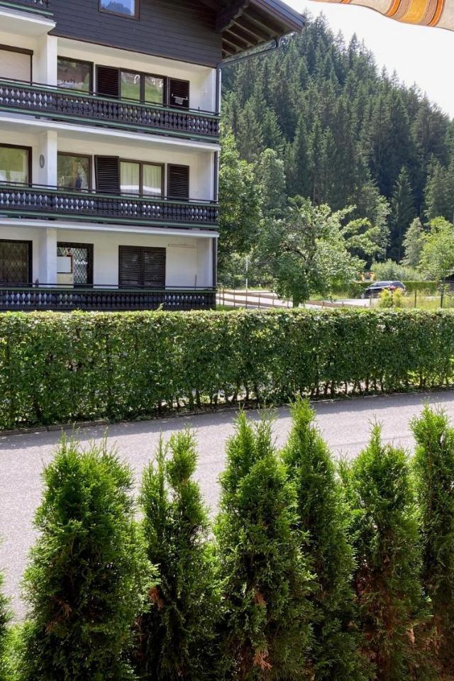 Somski Saalbach – billede 2