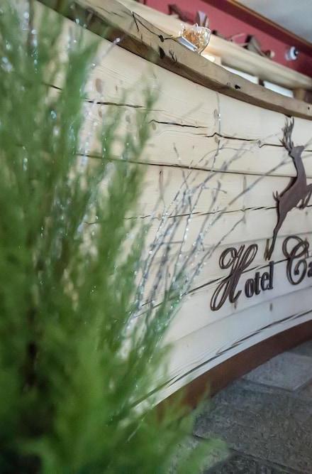 Hotel Capriolo – billede 1