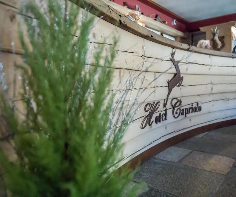 Hotel Capriolo