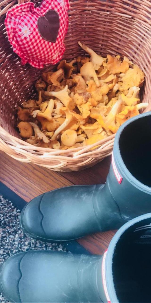 Malerwinkel, Forsthaus – billede 4