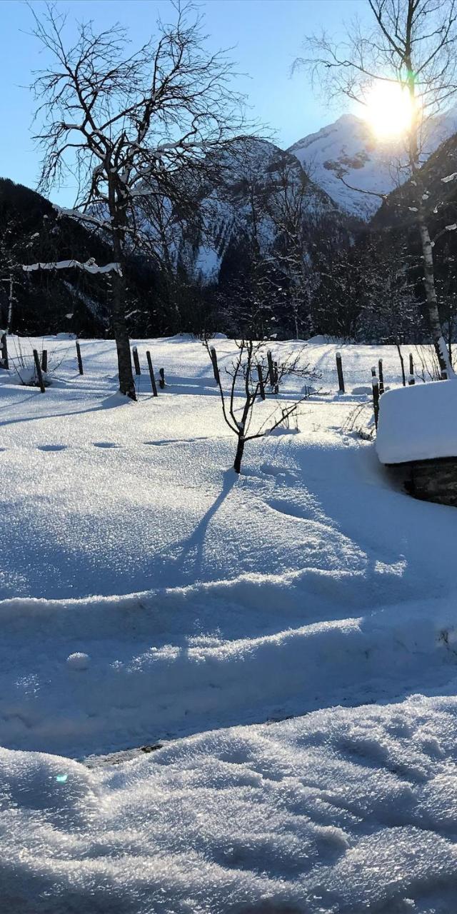Malerwinkel, Forsthaus – billede 6