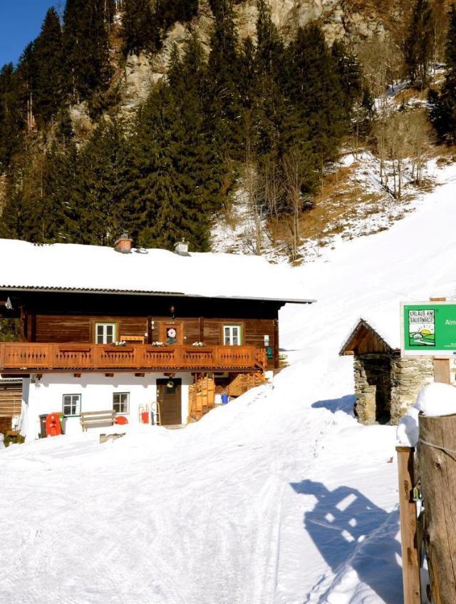 Malerwinkel, Forsthaus – billede 8