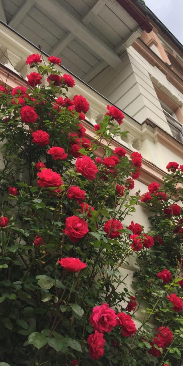 Villa Excelsior – billede 9