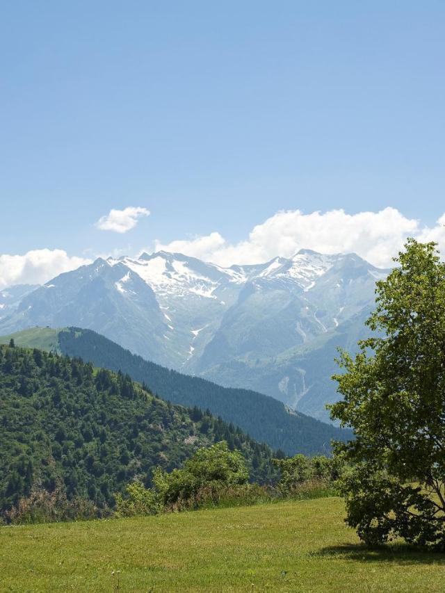 Hotel Le Pic Blanc – billede 9