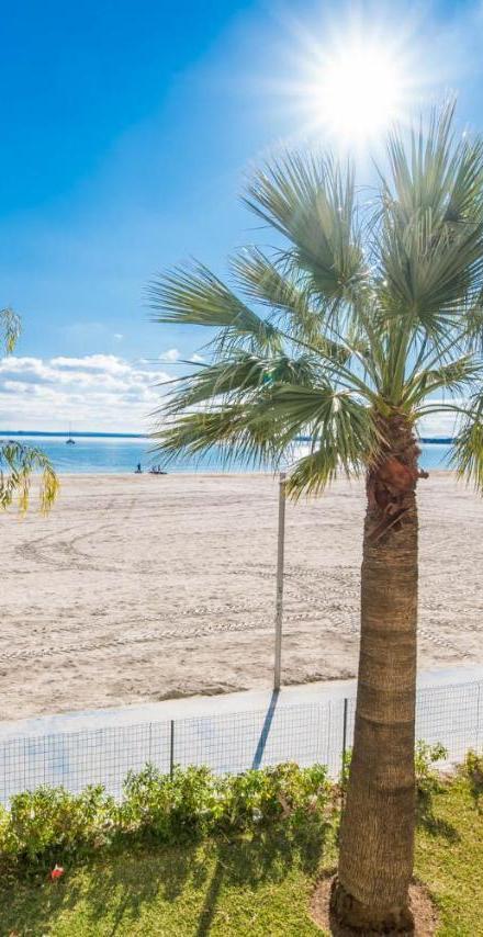 Ideal Property Mallorca - Carabela 44 – billede 5
