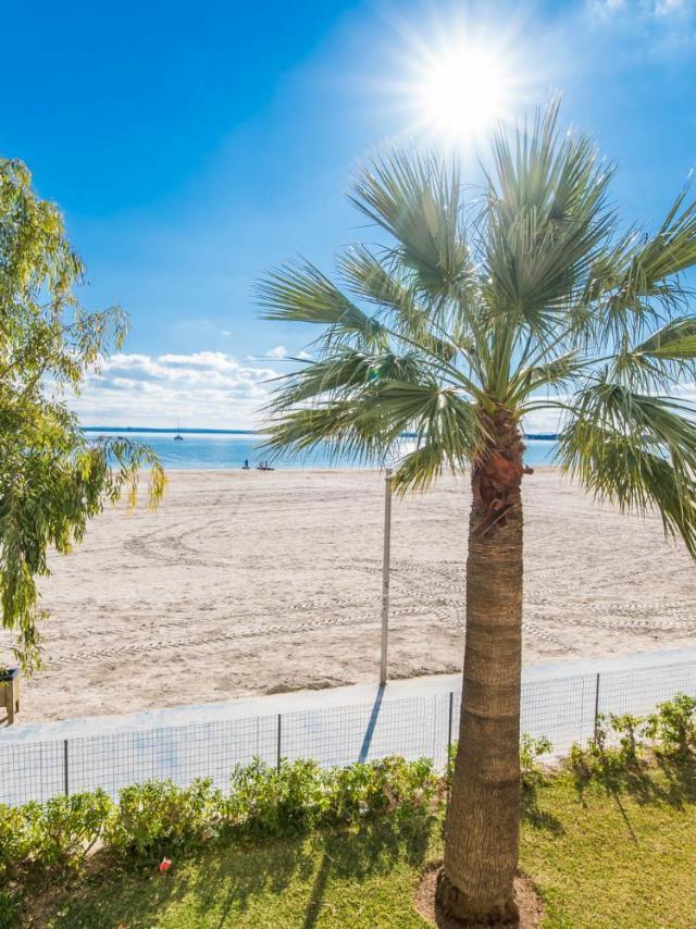 Ideal Property Mallorca - Carabela 44 – billede 5