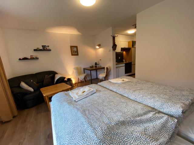 Haus Alpalin - Adjacent Studios 'Mischabel', Cosy, Central – billede 9
