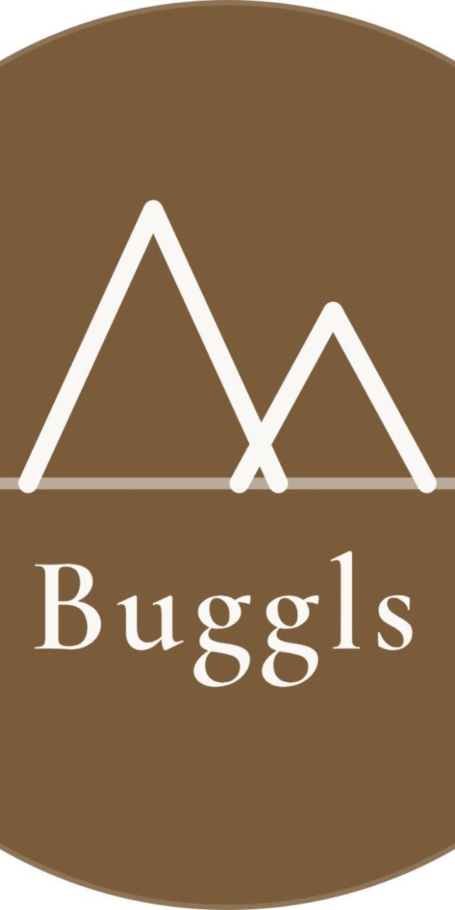 Apartment Buggls – billede 3