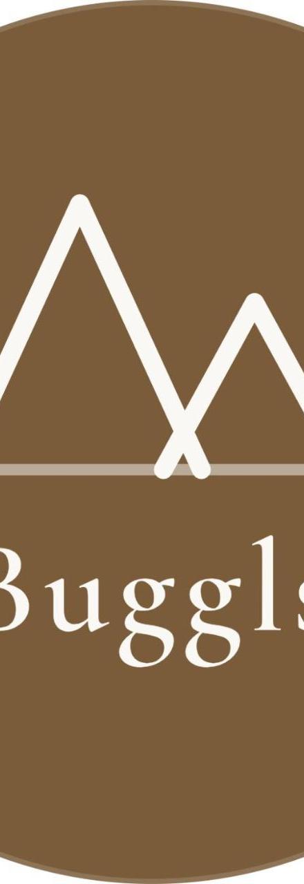Apartment Buggls – billede 3