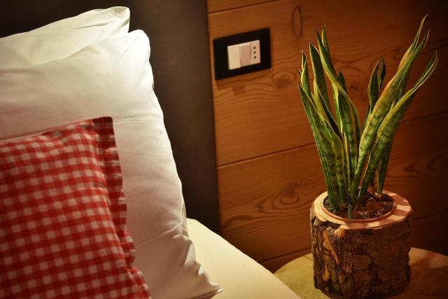 Sara Apartments – billede 8