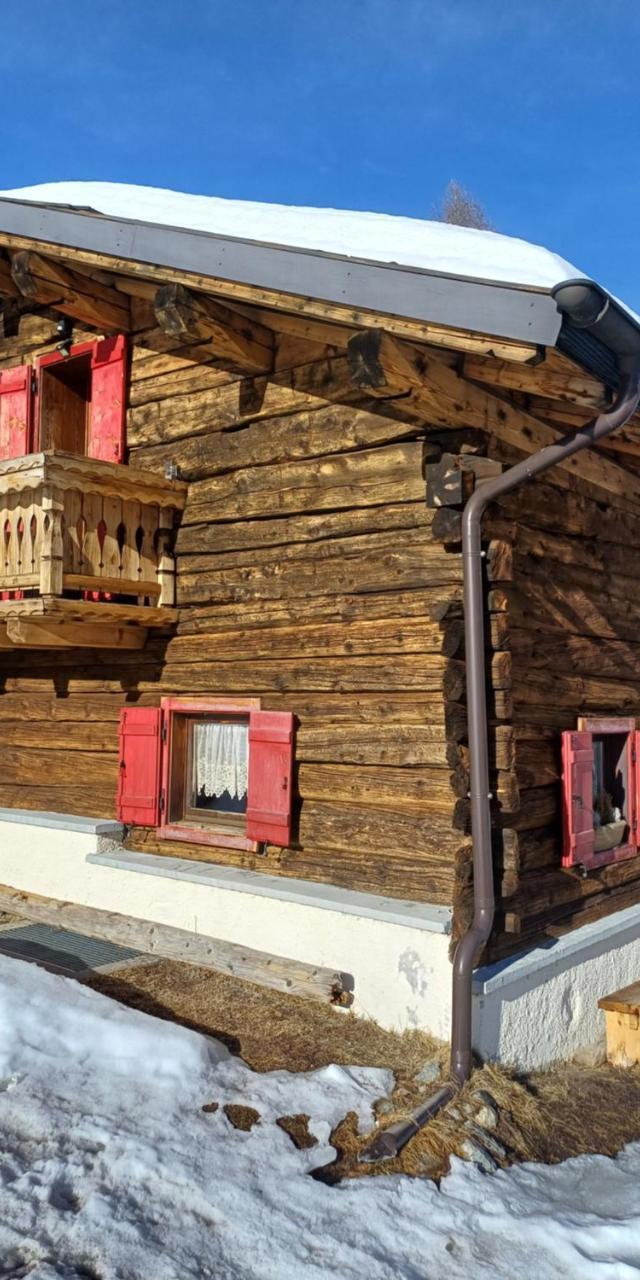 Chalet Renzo Livigno Il Lusso Del Silenzio