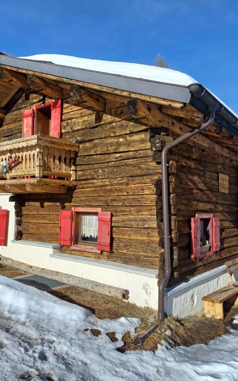 Chalet Renzo Livigno Il Lusso Del Silenzio
