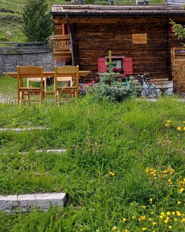 Chalet Renzo Livigno Il Lusso Del Silenzio – billede 2