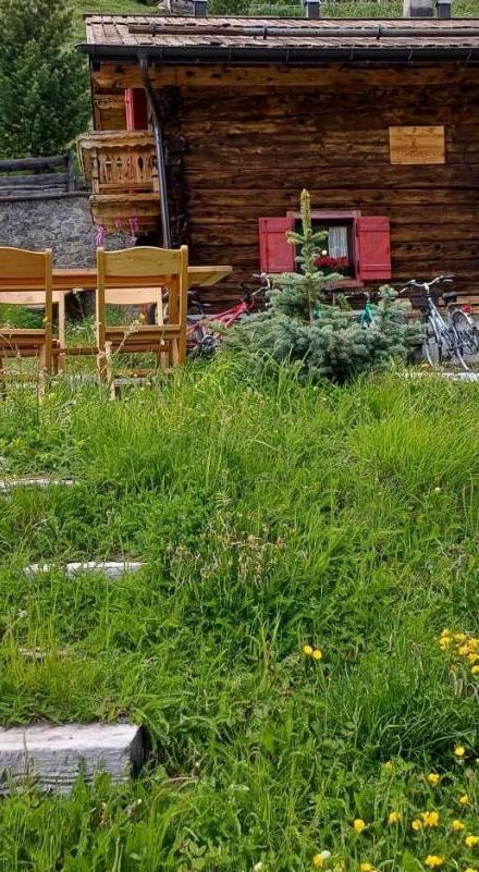 Chalet Renzo Livigno Il Lusso Del Silenzio – billede 2