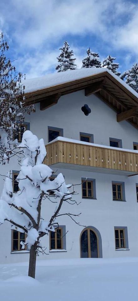Chalet Silver Fox – billede 1