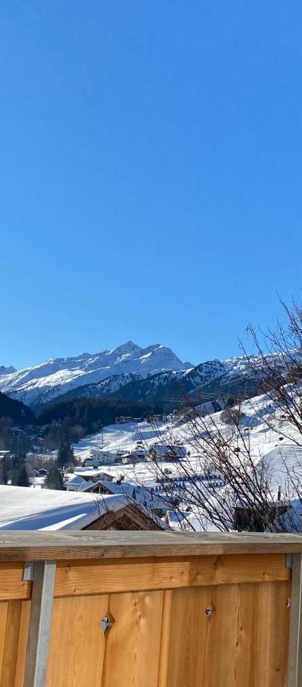 Chalet Silver Fox – billede 4
