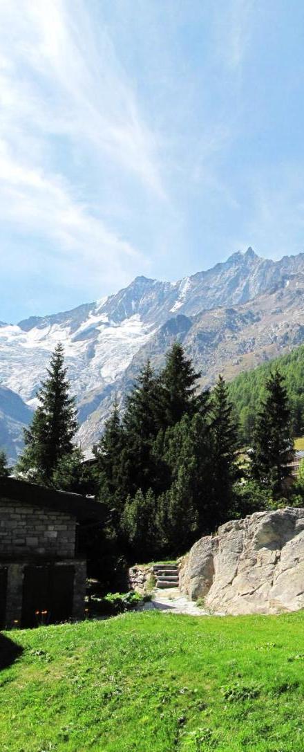 Chalet Les Mayens – billede 1
