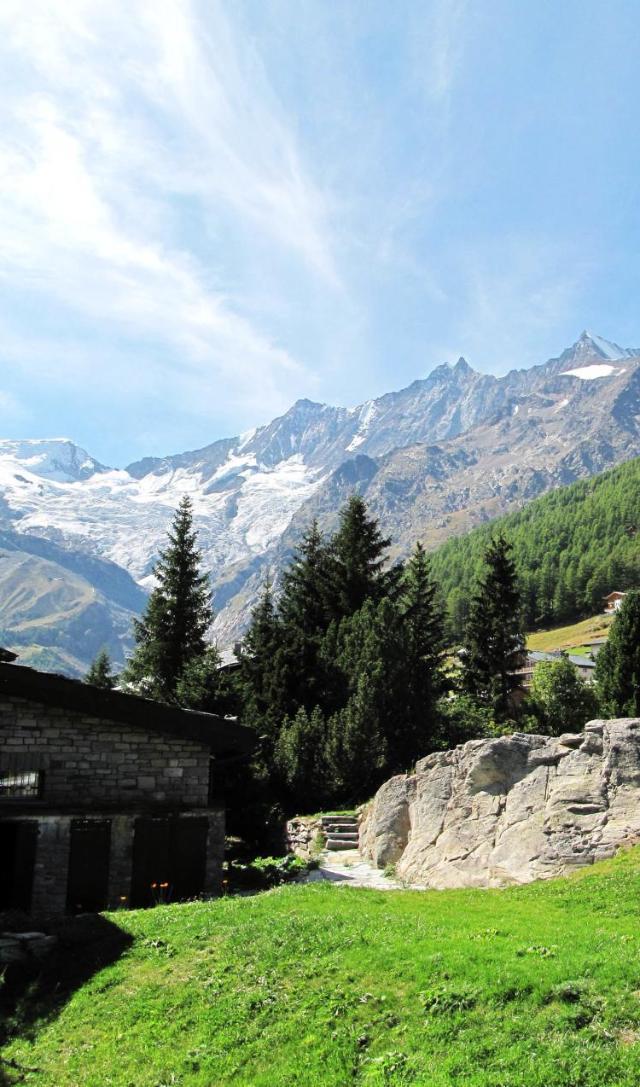Chalet Les Mayens