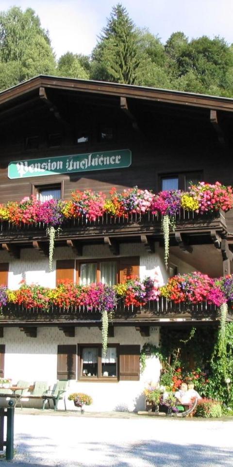 Apartment in Saalbach Near Ski Slopes – Saalbach