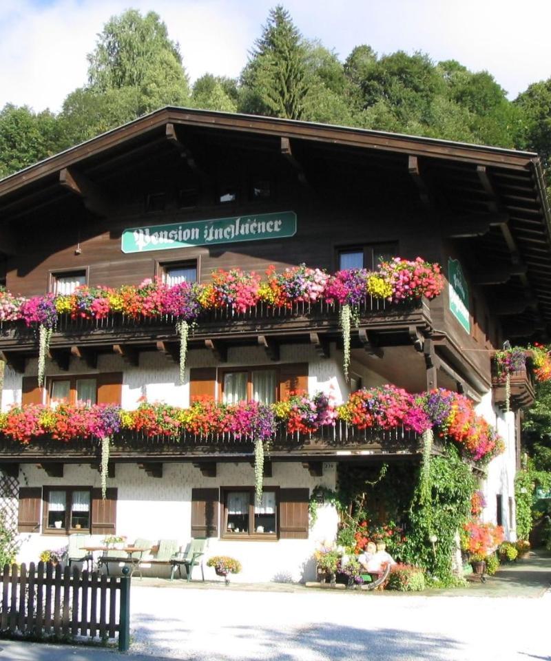 Apartment in Saalbach Near Ski Slopes