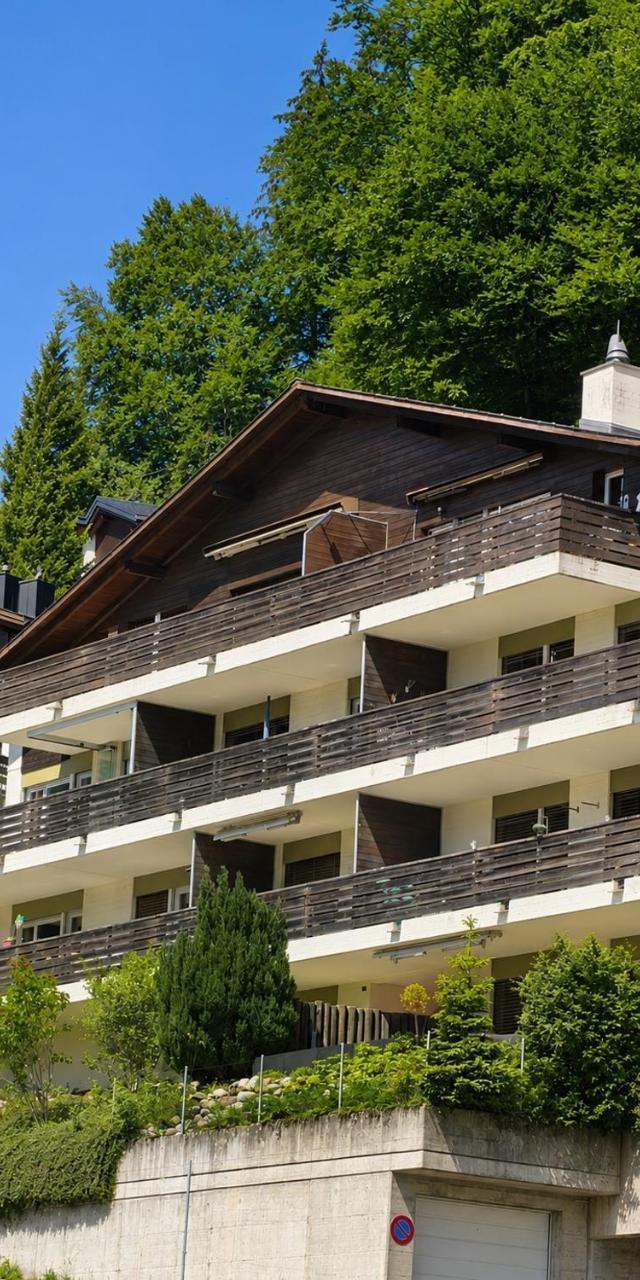 Moderne Wohnung Mit Sonniger Terrasse, Blick Auf Die Berge Und Das Engelbergertal – billede 3