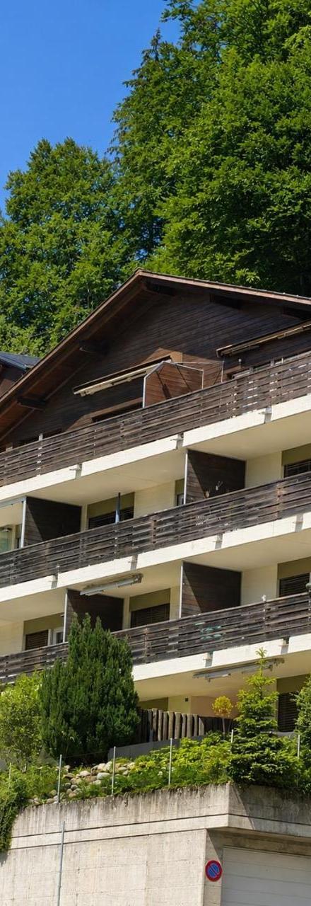 Moderne Wohnung Mit Sonniger Terrasse, Blick Auf Die Berge Und Das Engelbergertal – billede 3