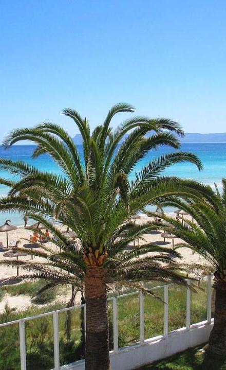 Ses Fotges – billede 4