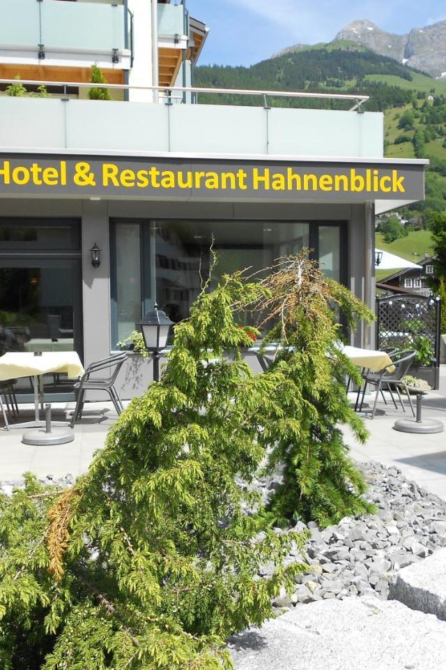 Hahnenblick – billede 2