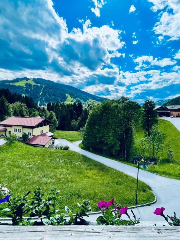 Two-Bedroom Apartment with Balcony and Terrace (1 sofa bed and 1 large bed) - Free WiFi – Julius Appartements & Zimmer