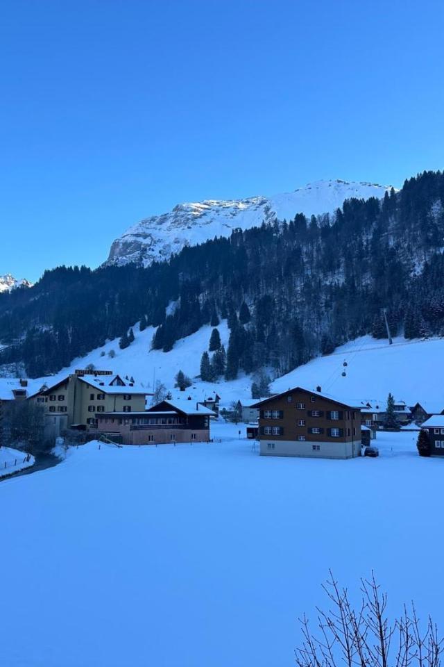 Alpine Escape Titlis, Ski, Lake – billede 5