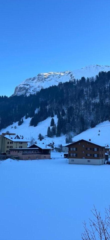 Alpine Escape Titlis, Ski, Lake – billede 5