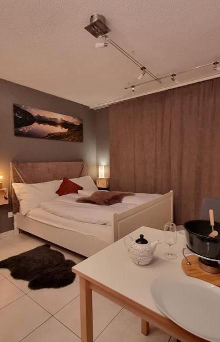 Ski-In Cosy Studio – billede 3