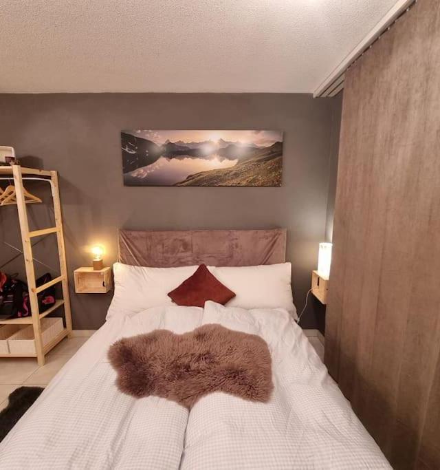Ski-In Cosy Studio – billede 5