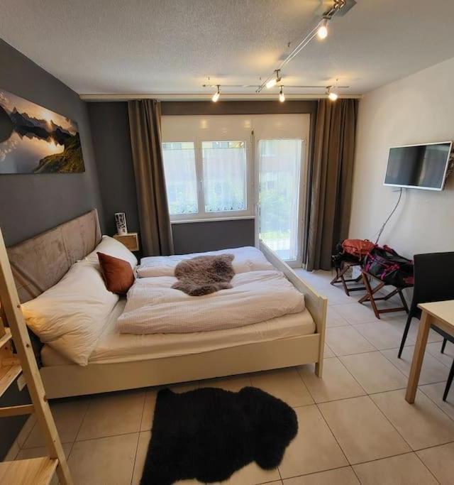 Ski-In Cosy Studio – billede 6