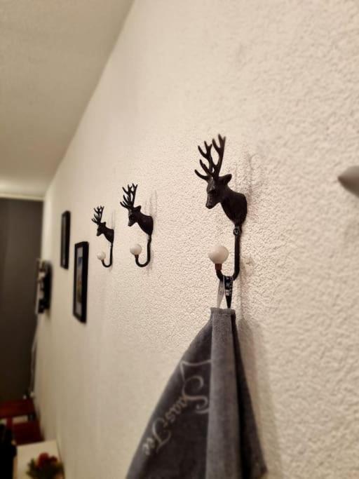 Ski-In Cosy Studio – billede 8