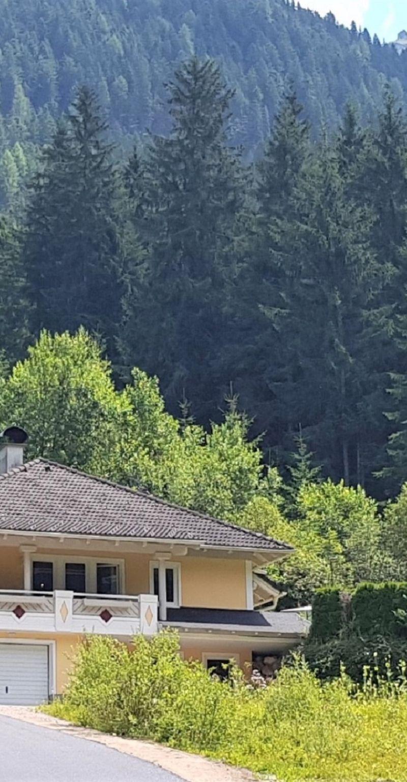 Steindlwald